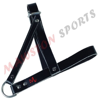 Head harness